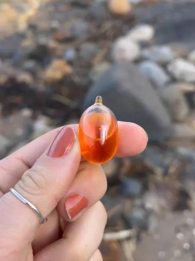sealed-glass-vial-on-the-beach-v0-j88zfohffd3f1