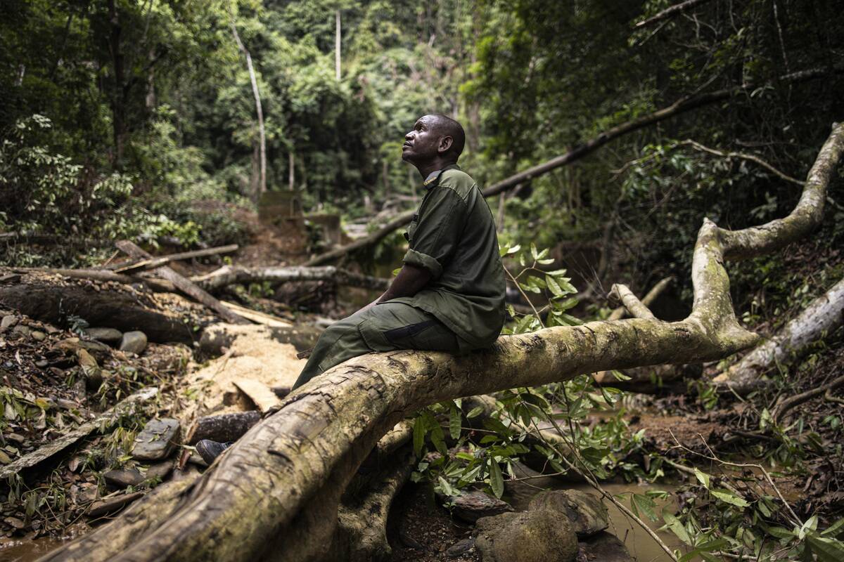 SLEONE-ENVIRONMENT-MINING-FOREST