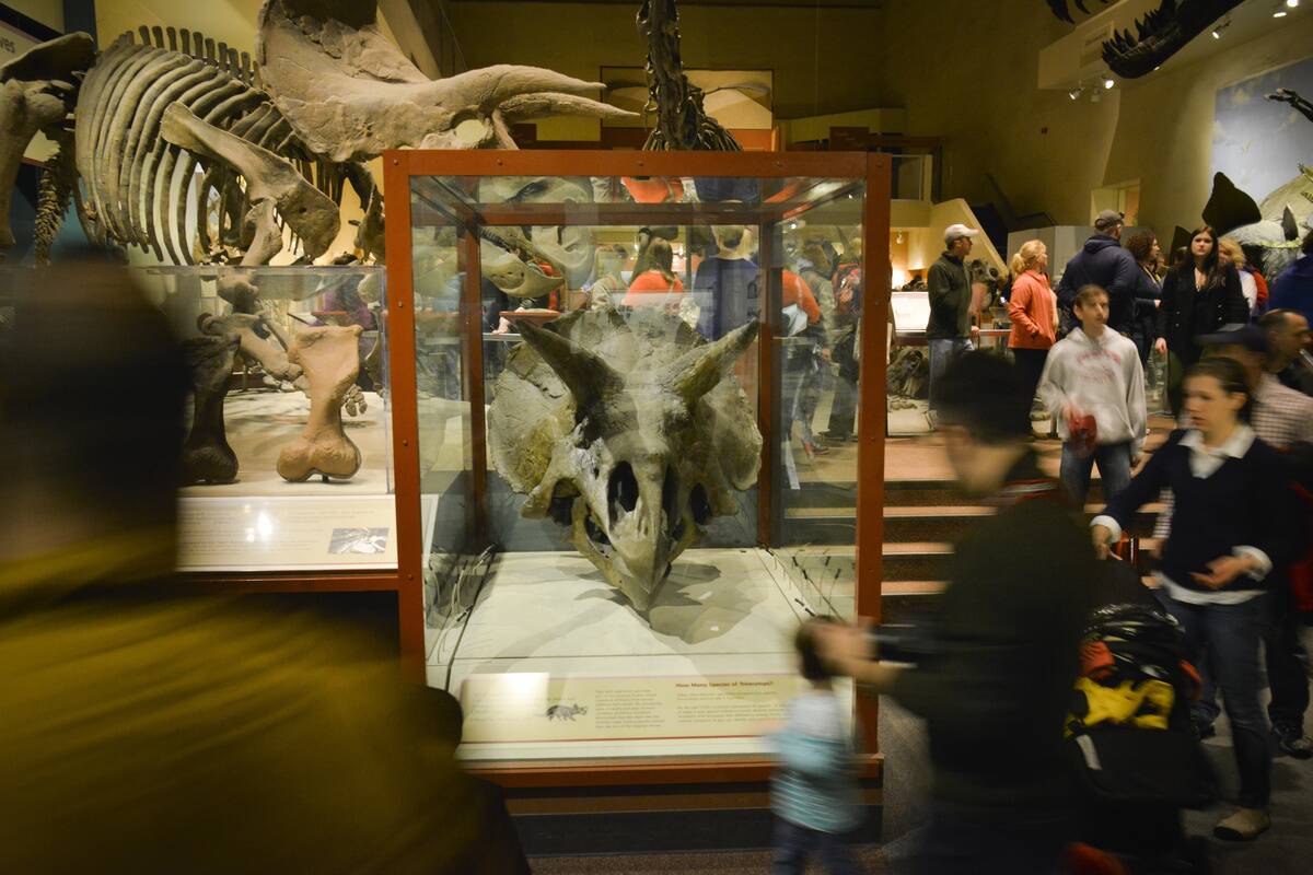 Smithsonians National Museum of Natural History