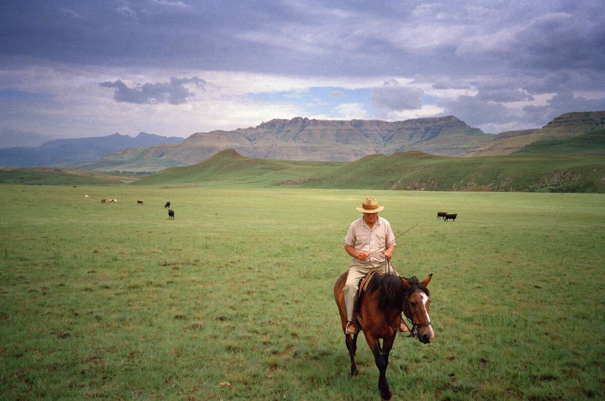 South African Farmer