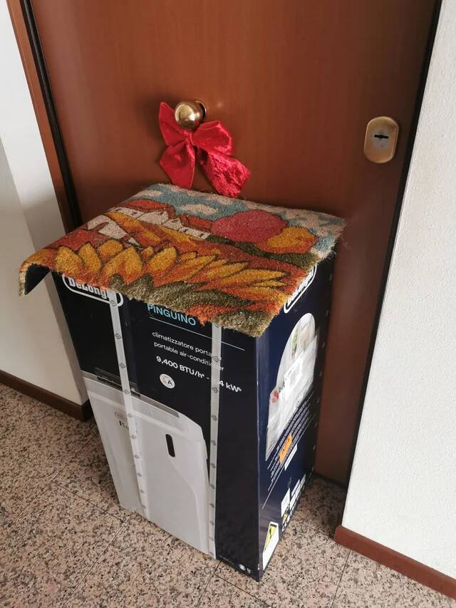 thanks-to-the-amazon-delivery-guy-for-hiding-my-package-v0-r1xefq3cu5ee1