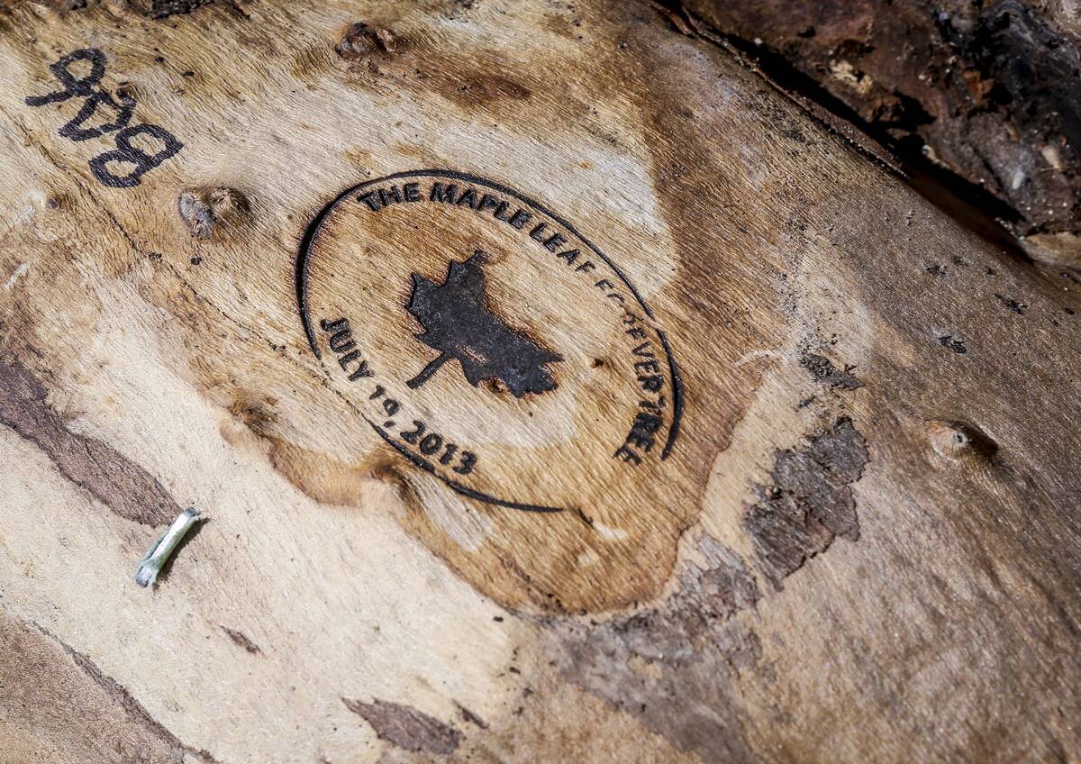 The Maple Leaf Forever Tree