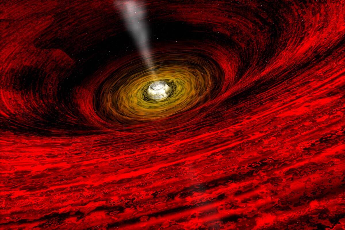 The View Near a Black Hole.