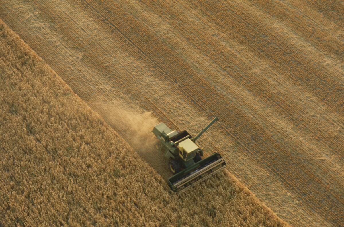 Thrasher Moves Through Wheat Field