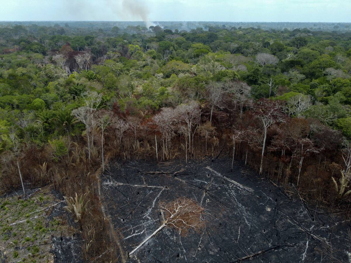 TOPSHOT-BRAZIL-ENVIRONMENT-AMAZON-FIRE