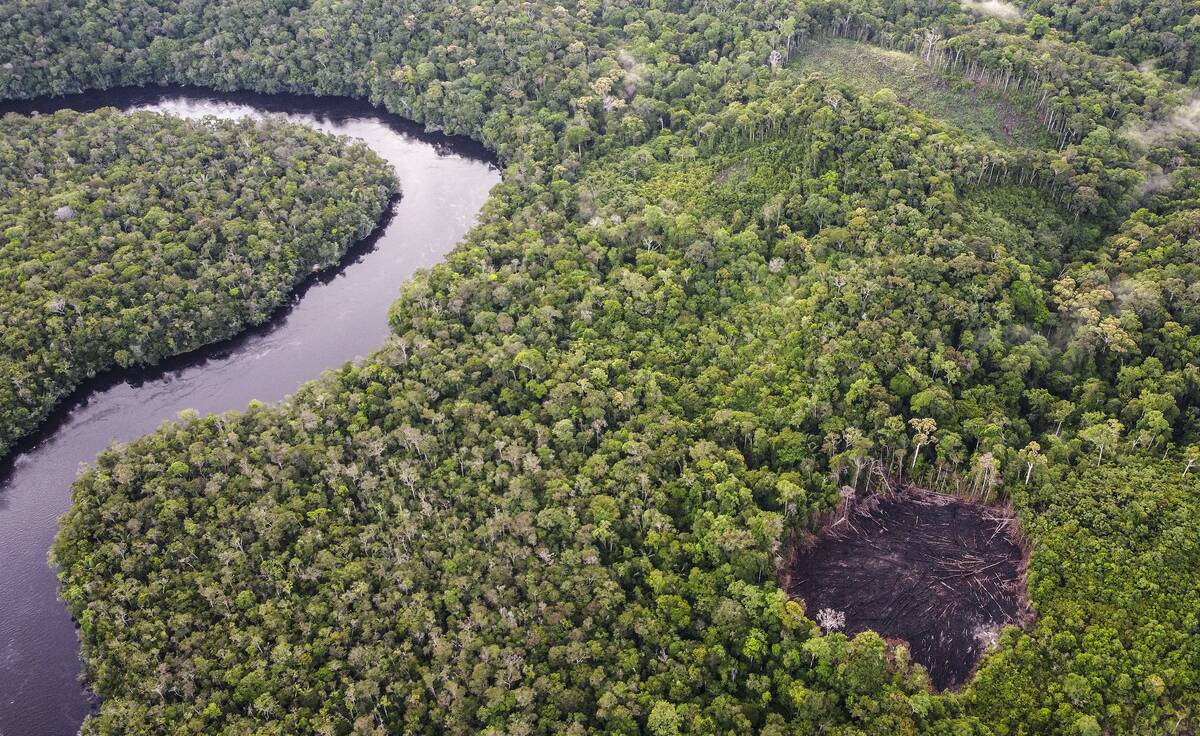 TOPSHOT-COLOMBIA-UN-UAE-ENVIRONMENT-CLIMATE-COP28-FOREST