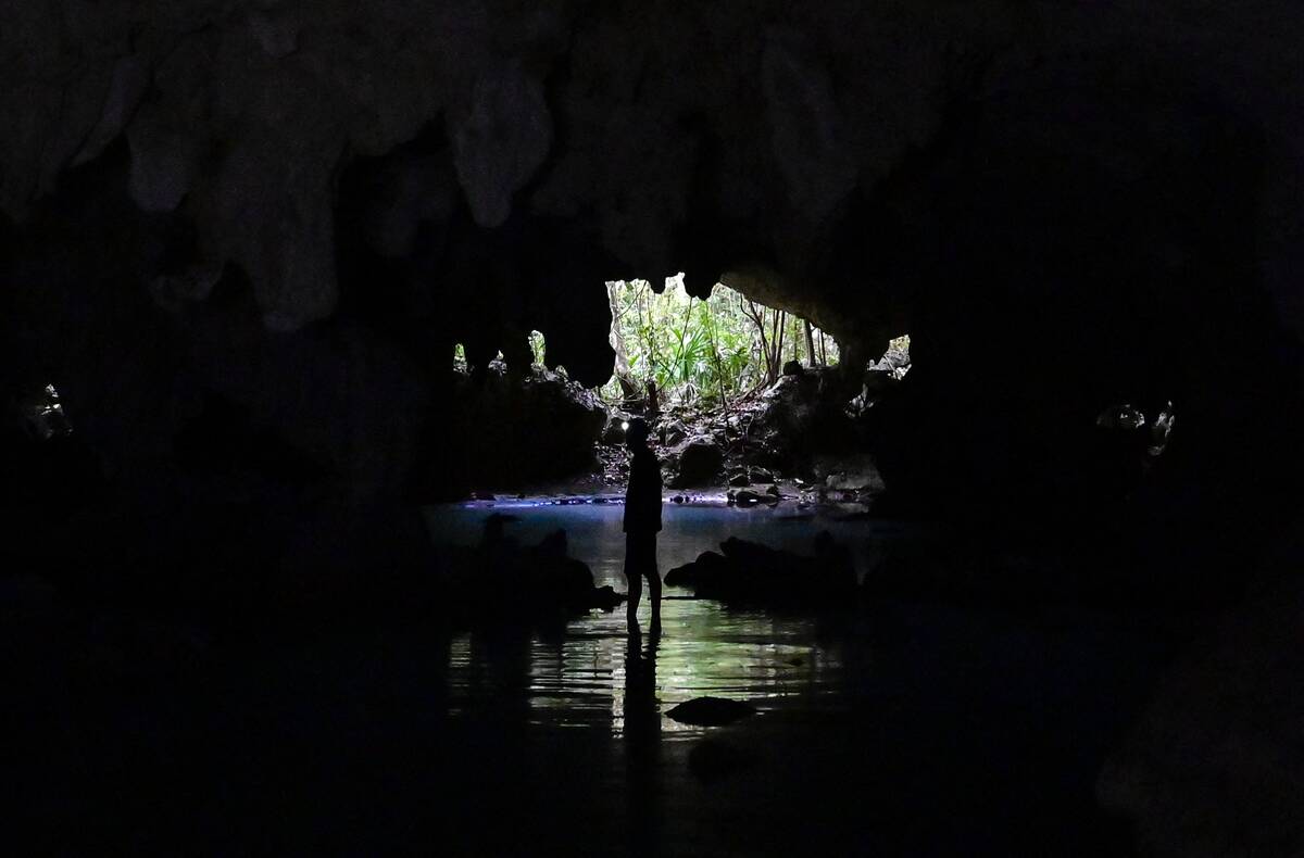 TOPSHOT-MEXICO-ENVIRONMENT-TRANSPORT-MAYAN TRAIN