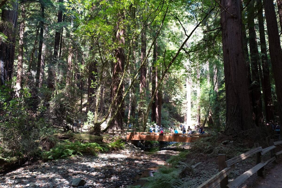 Tourists Crossing Bridge