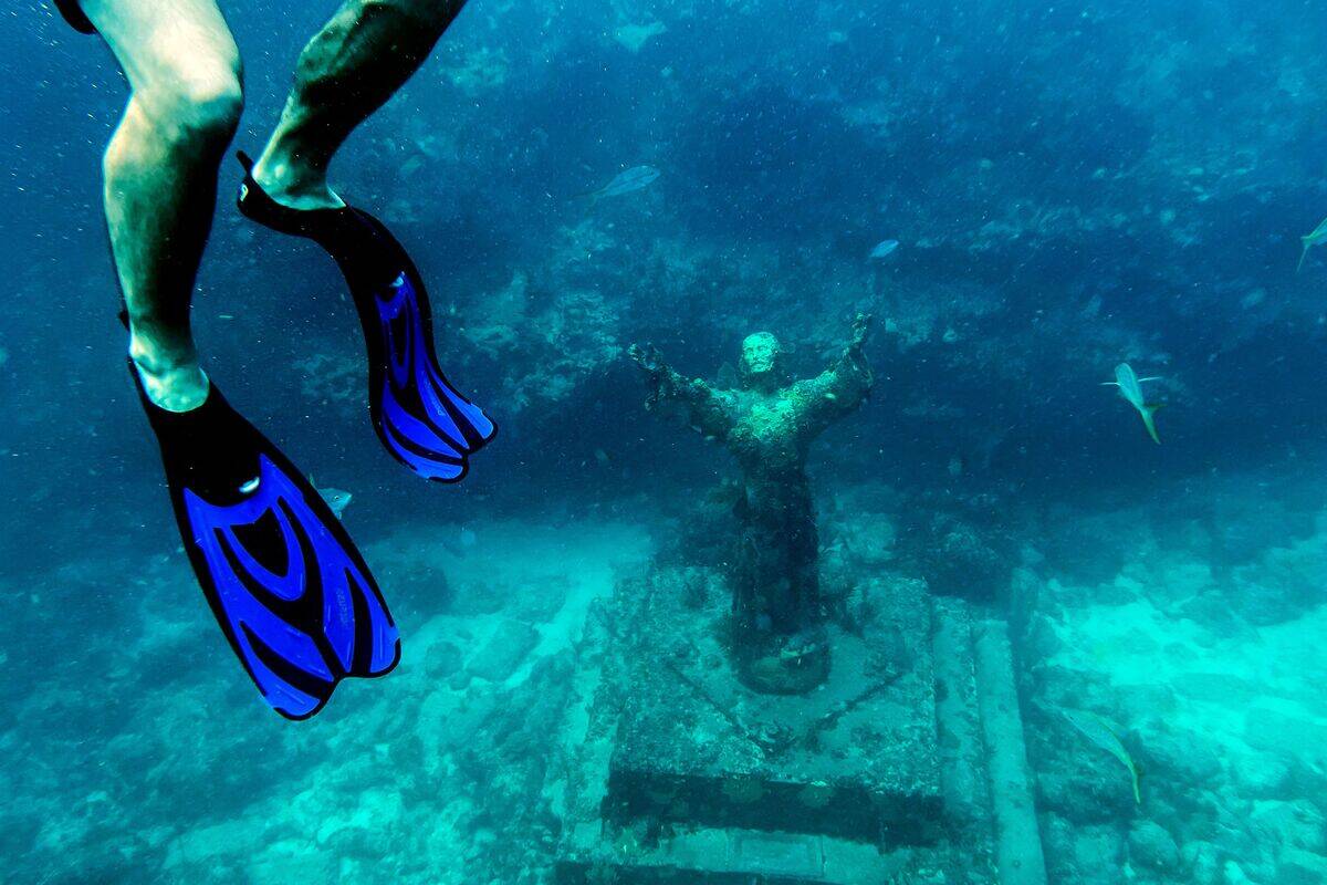 US-CORAL-ANIMALS-OCEANS