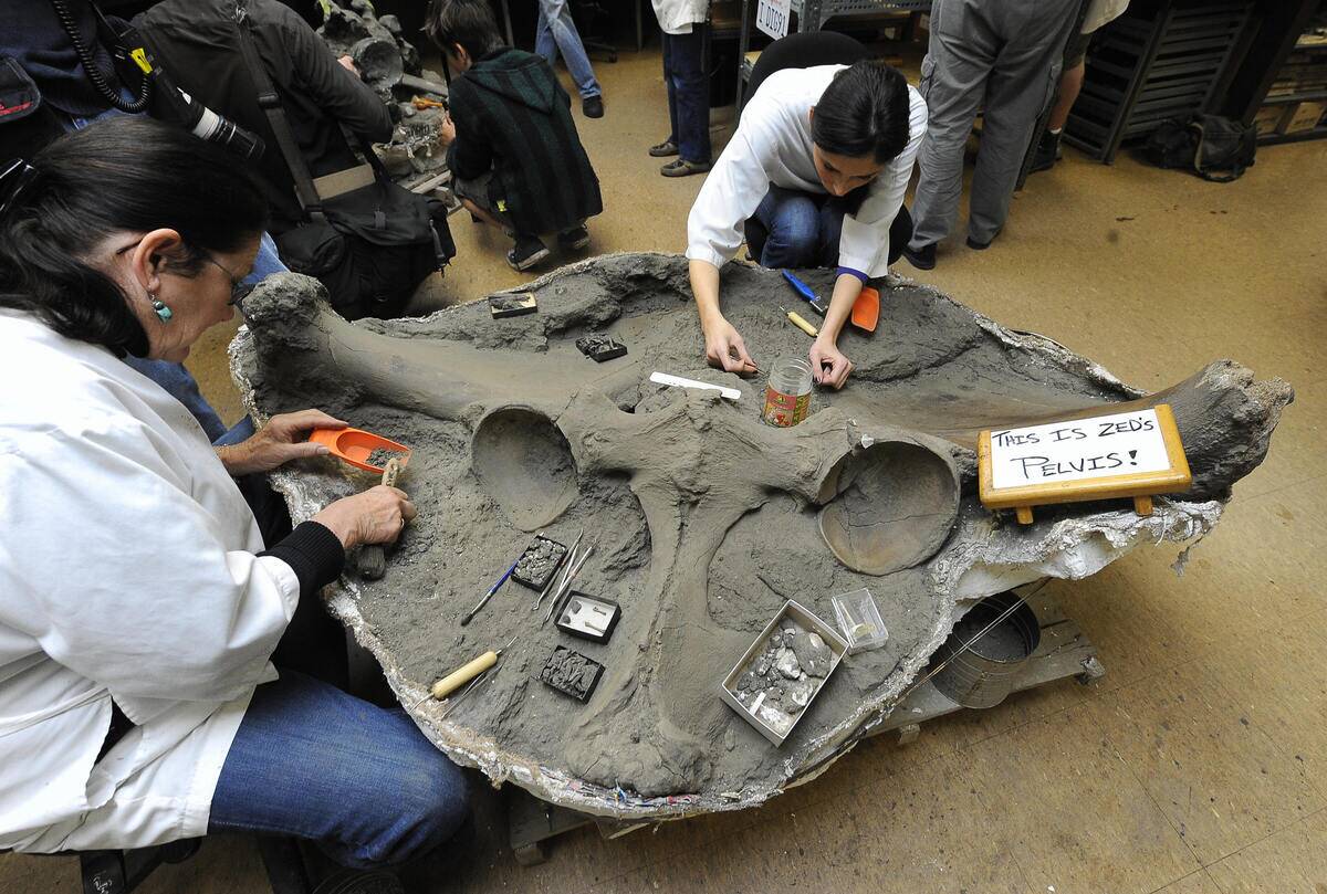 Volunteers Meganne Macias (R) and Dixie