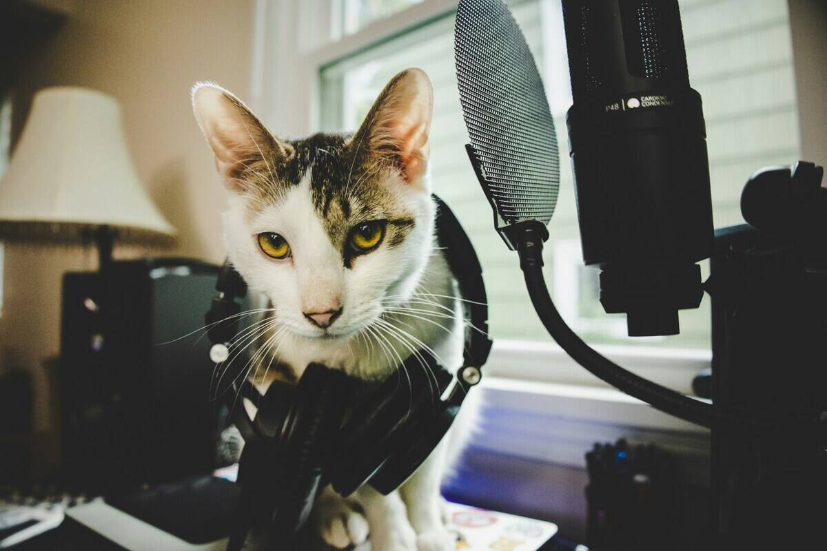 yassine-khalfalli--vNFCBngQeE-unsplash