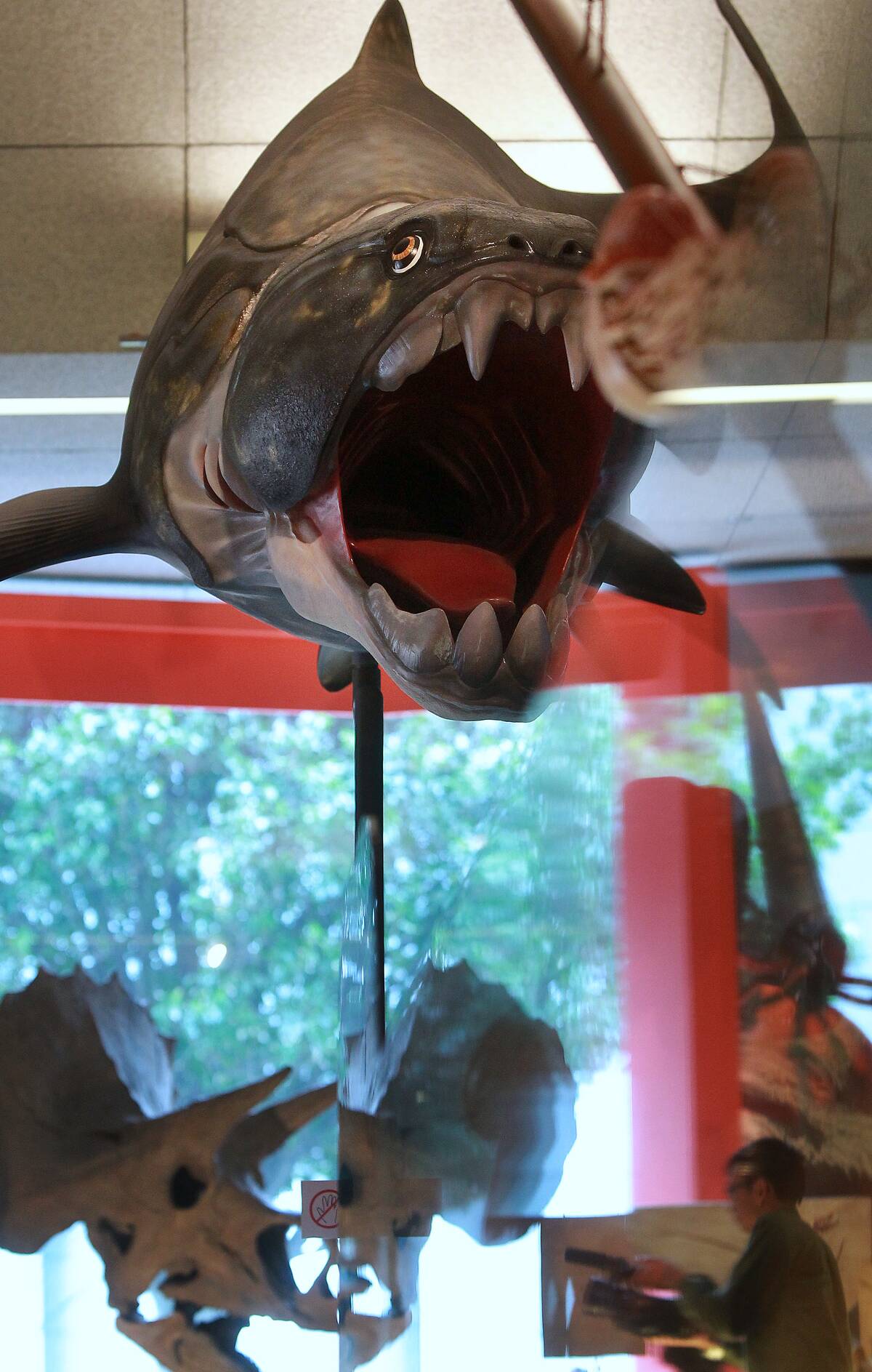 GettyImages-1125234335