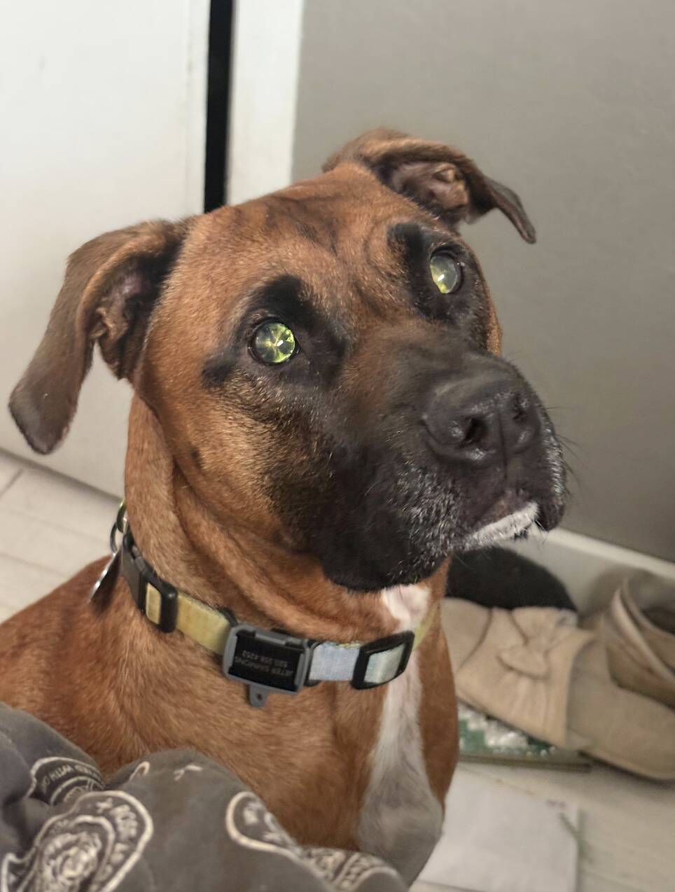 Screenshot 2025-11-05 at 3.39.48 PM