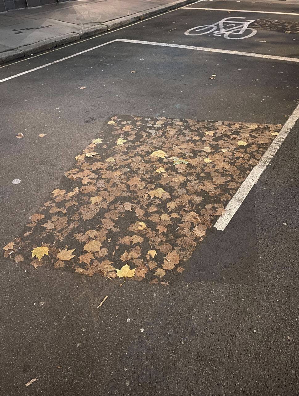 Screenshot 2025-11-05 at 3.54.11 PM