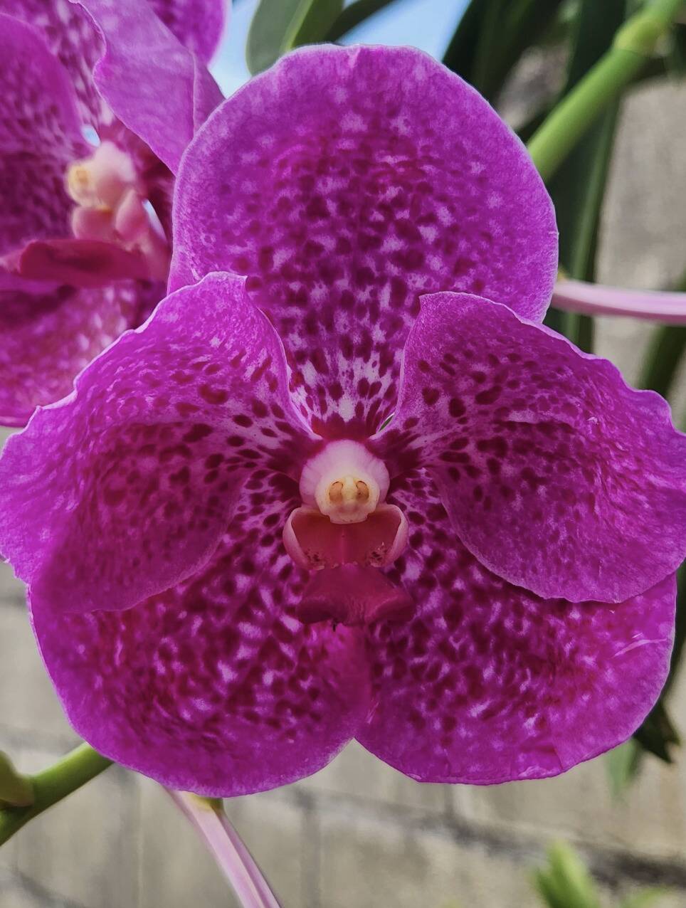 Screenshot 2025-11-05 at 4.36.48 PM