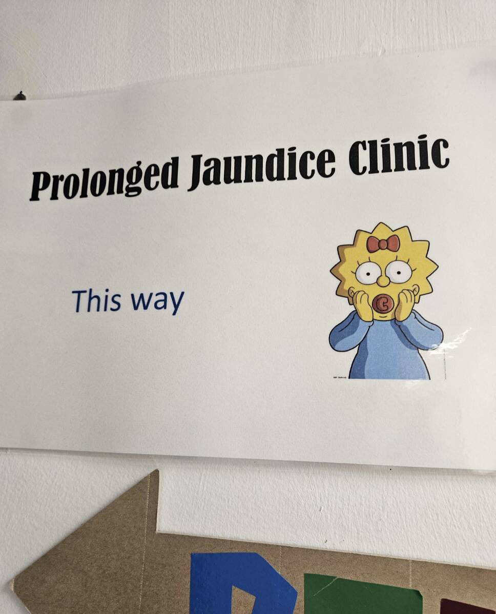 Screenshot 2025-11-06 at 1.34.21 PM