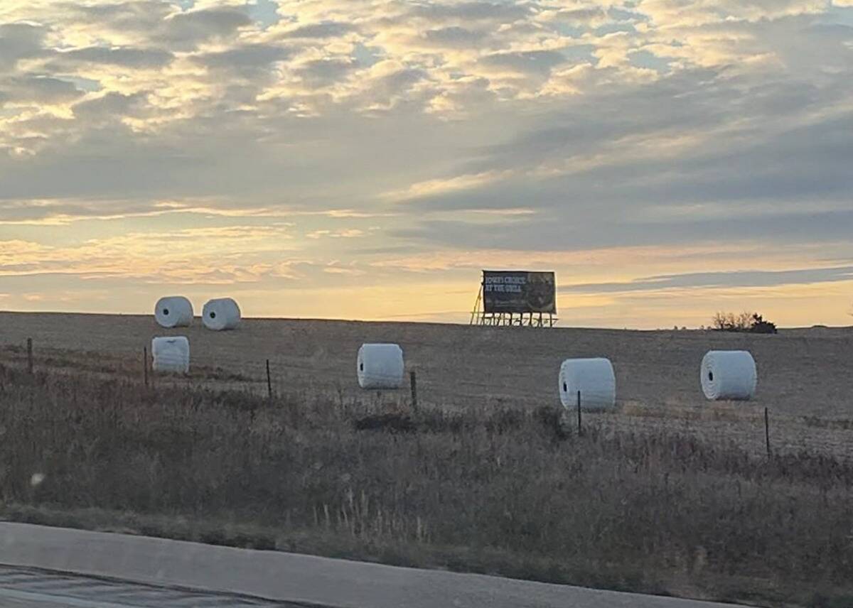 Screenshot 2025-11-06 at 10.03.54 AM