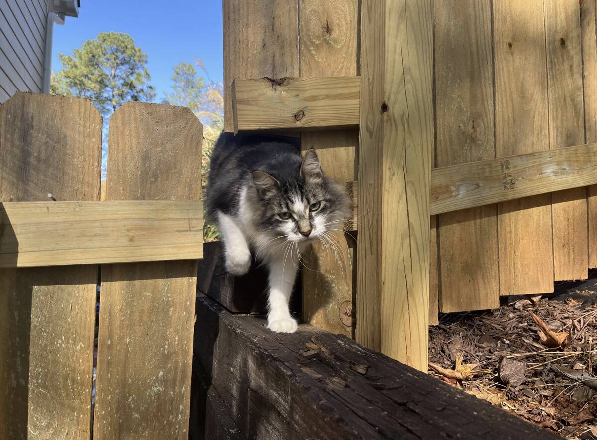 Screenshot 2025-11-06 at 10.36.53 AM