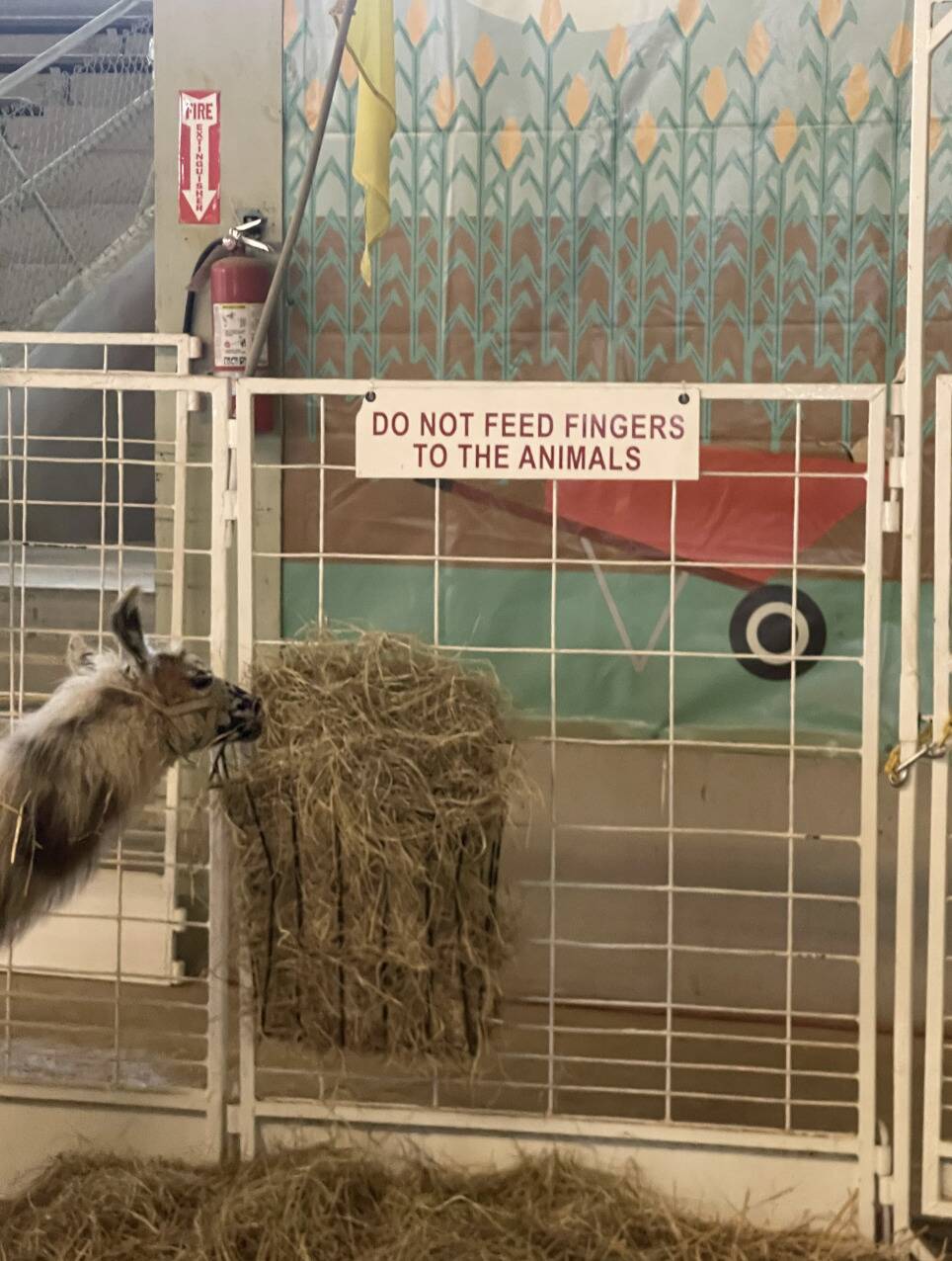 Screenshot 2025-11-06 at 11.39.05 AM