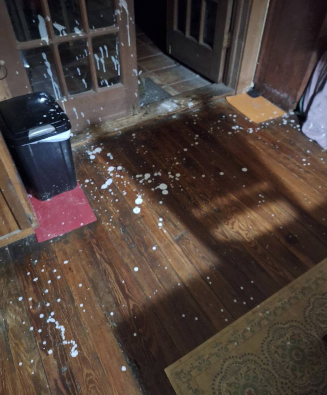 Screenshot 2025-11-26 at 1.44.39 PM