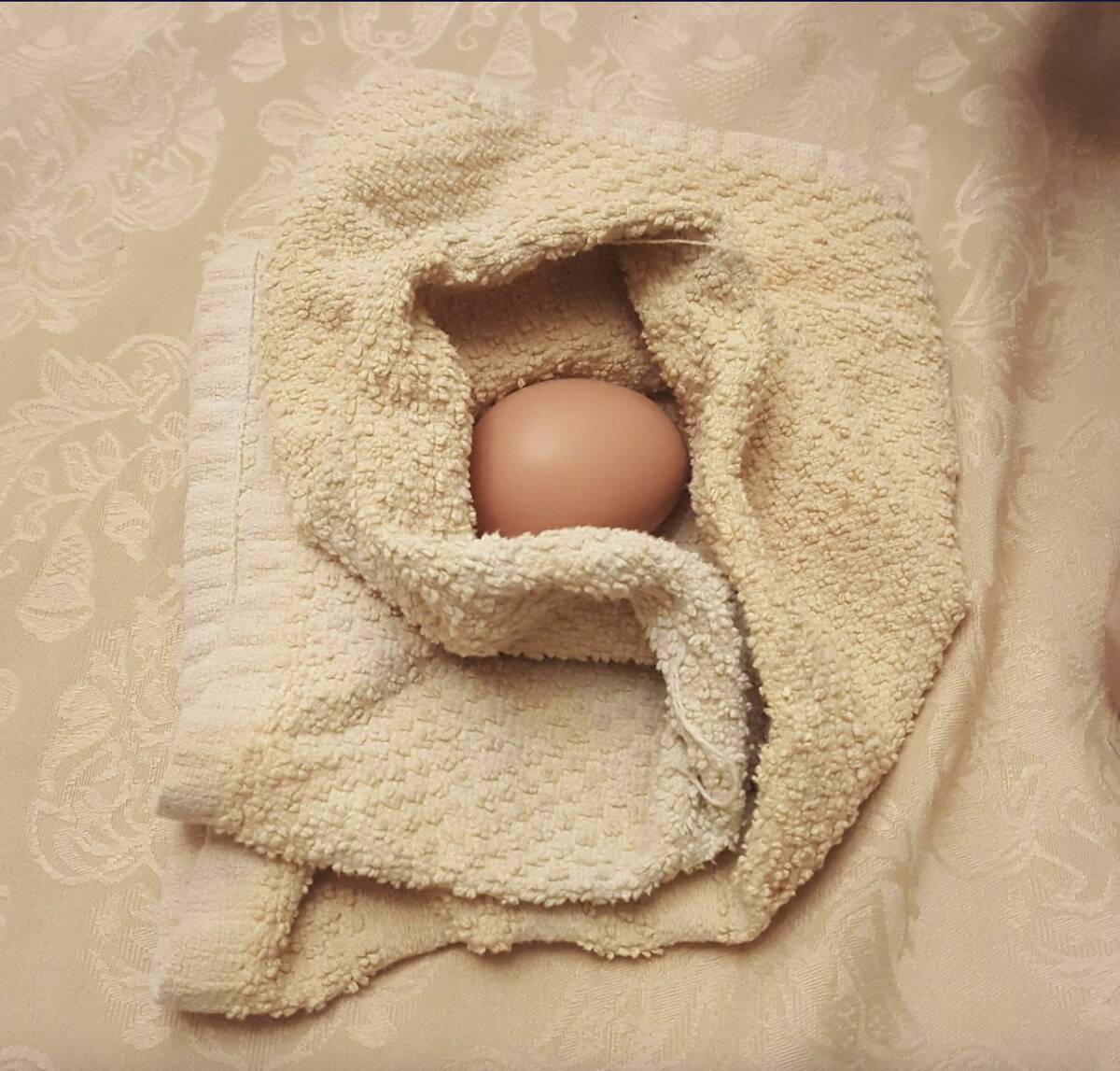 Screenshot 2025-11-26 at 4.38.33 PM