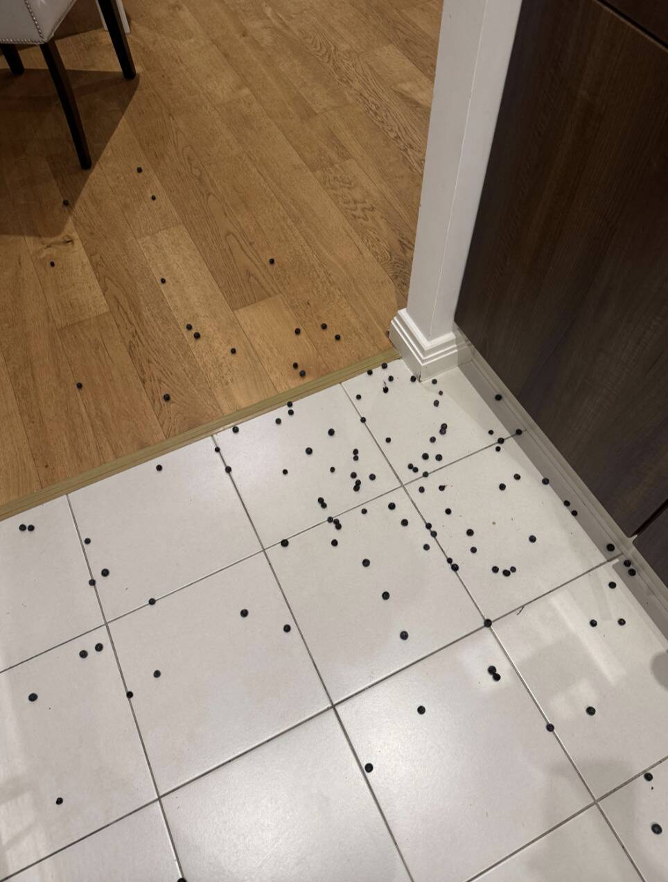 Screenshot 2025-12-16 at 3.45.36 PM