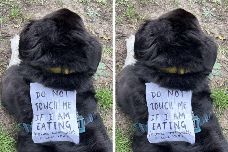 Untitled design - 2025-11-06T112201.584