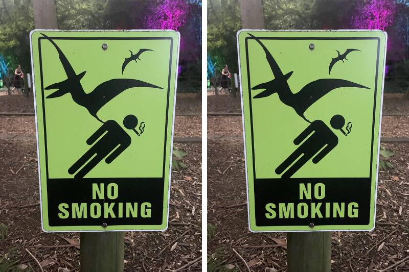 Untitled design - 2025-11-06T115618.014