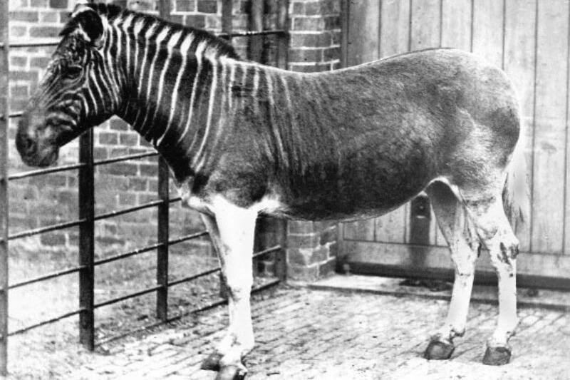 Untitled design - 2025-11-12T102854.631