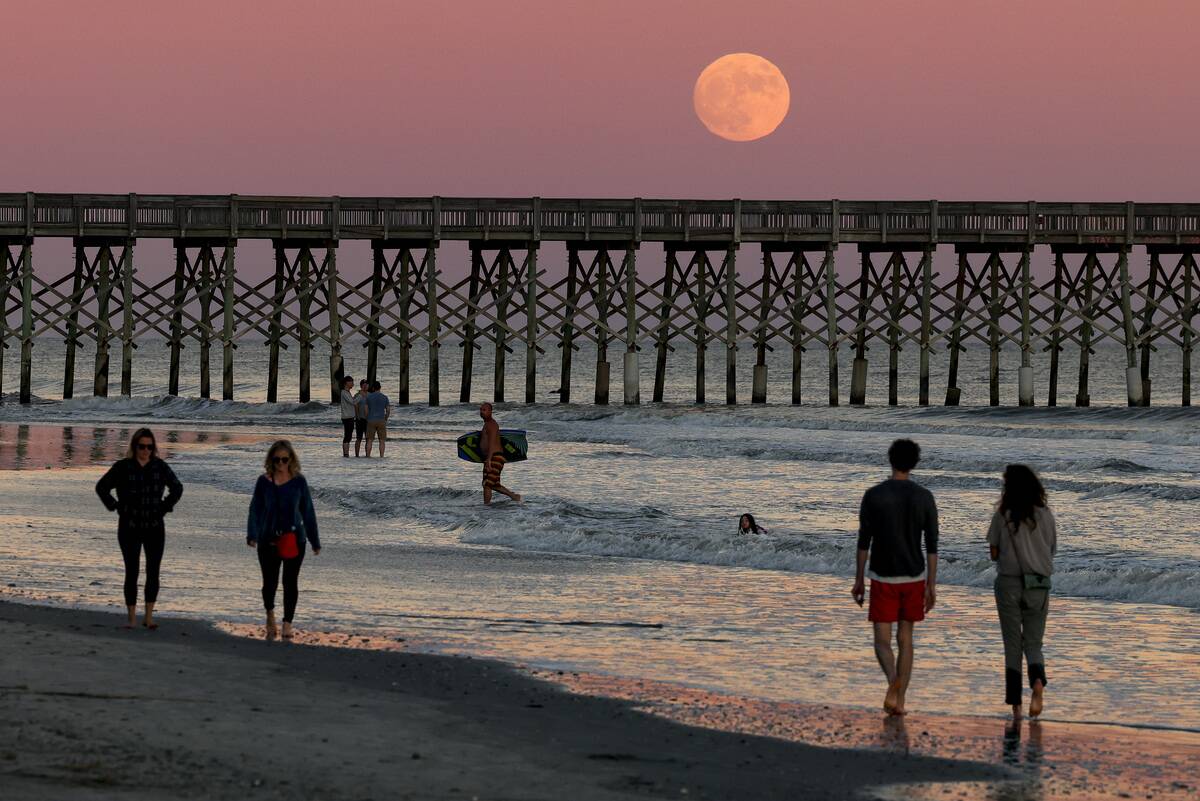 A Waxing Gibbous Moon Rises, The Night Before Blue Moon On Halloween Night