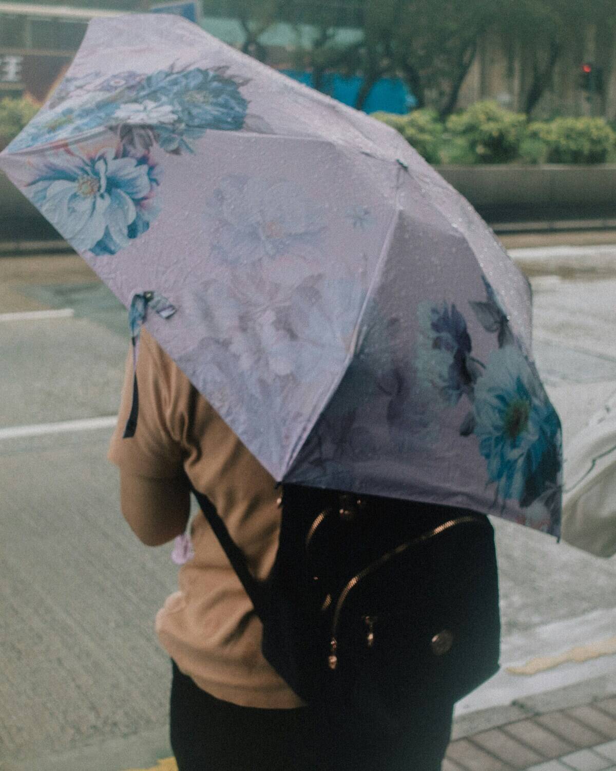 catgirlmutant-eSHe_xGKYZM-unsplash