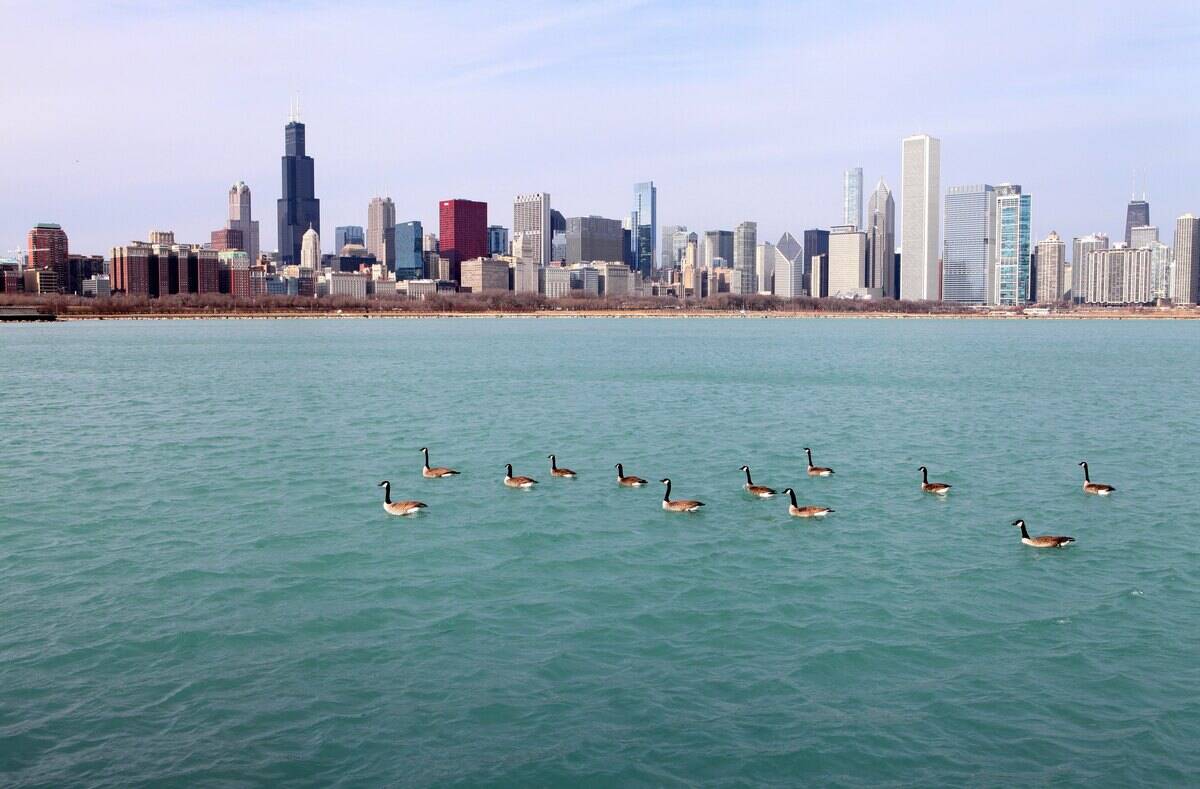 Chicago Cityscapes And City Views