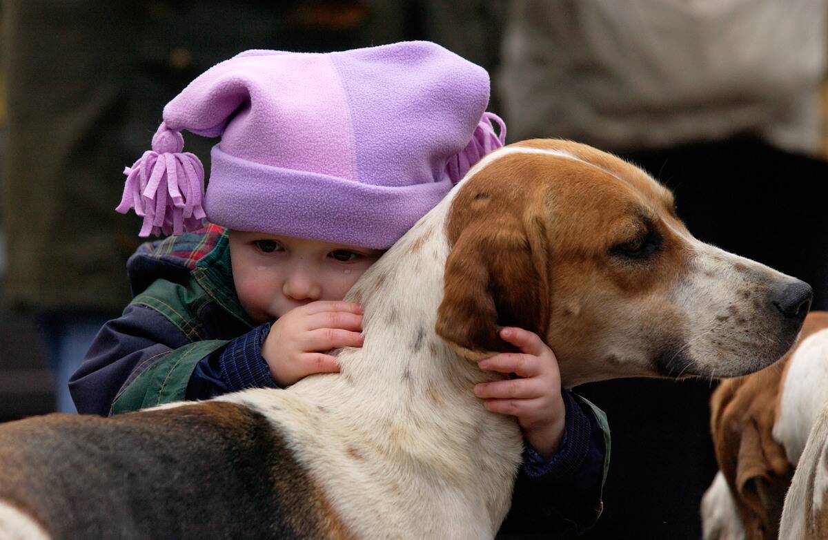 Child hugging a Fox hound