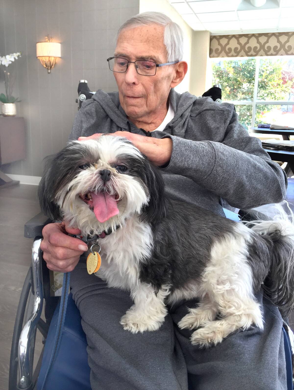 Comfort or therapy dog visits elderly man