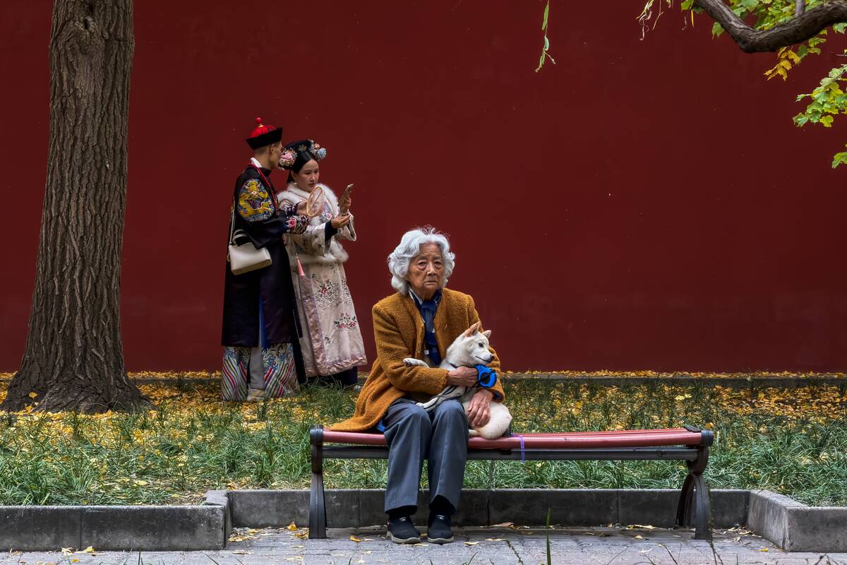 Elderly Woman with Dog Sitting by Red Wall Outside Jingshan Park in Beijing