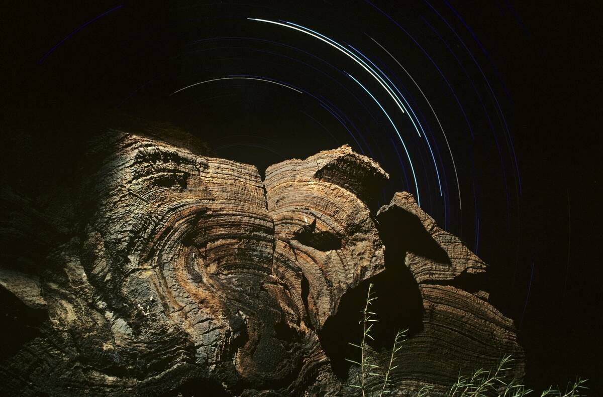Fossil stromatolite, 2.72 billion years old bacterial deposit two metres tall,