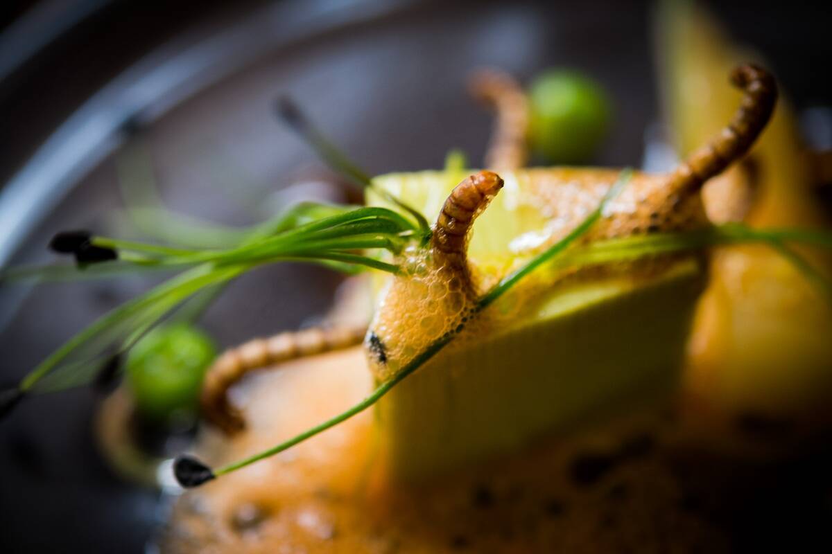 French Chef David Faure Cooks Bugs In His Restaurant 'Aphrodite' in Nice