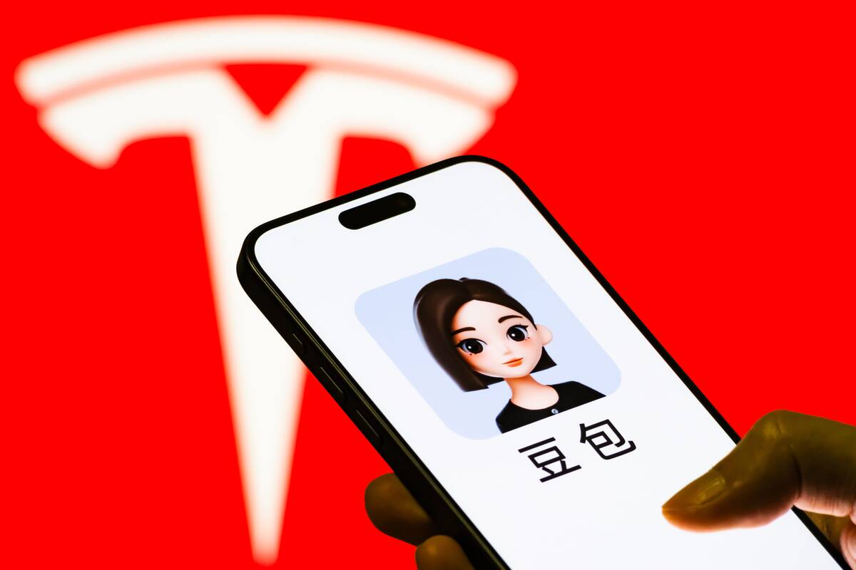 Hand holding smartphone displaying Doubao app in front of Tesla logo