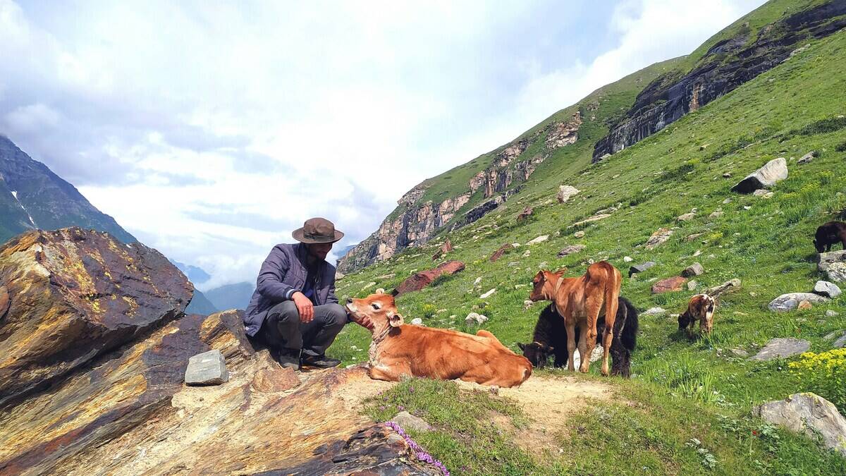 harish-bharti-AEgs4vldBrs-unsplash