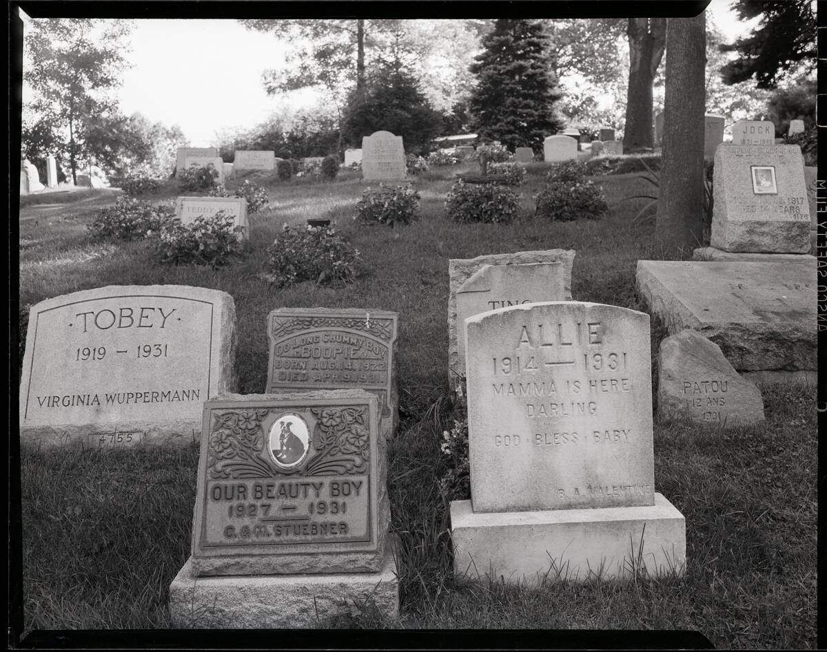 Hartsdale Canine Cemetery