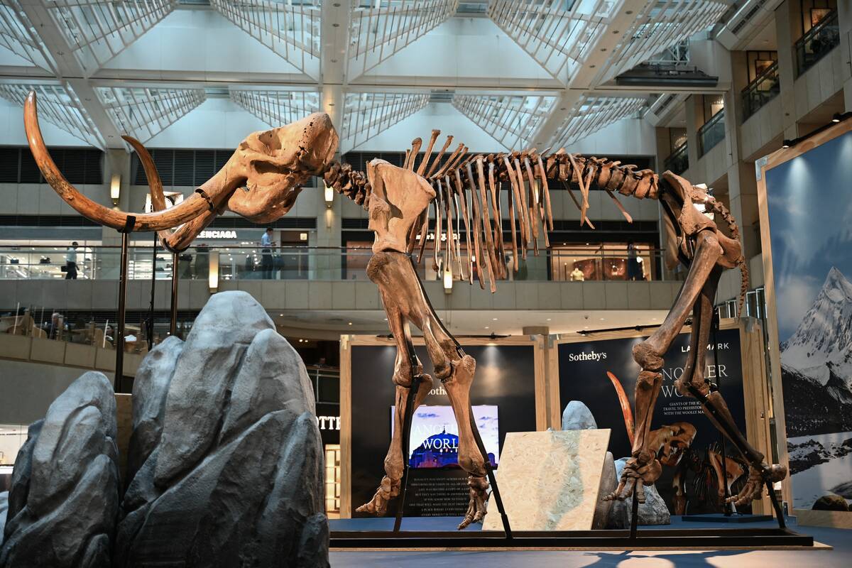 HONG KONG-CHINA-SOTHERBY'S-MAMMOTH
