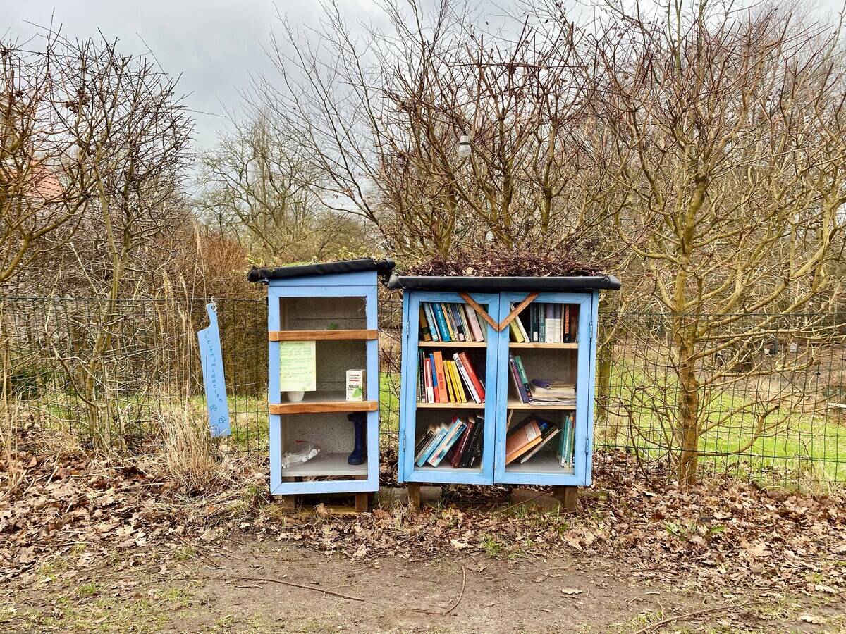 marlouk-rodijk-qDyDVsh1Hn4-unsplash