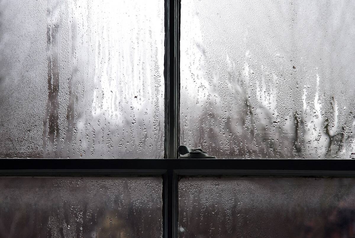 Mist on sash window
