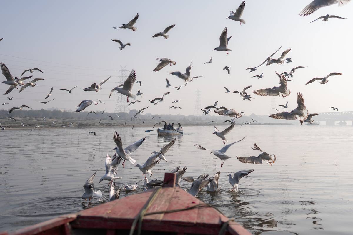 Poor Air Quality Plagues Delhi