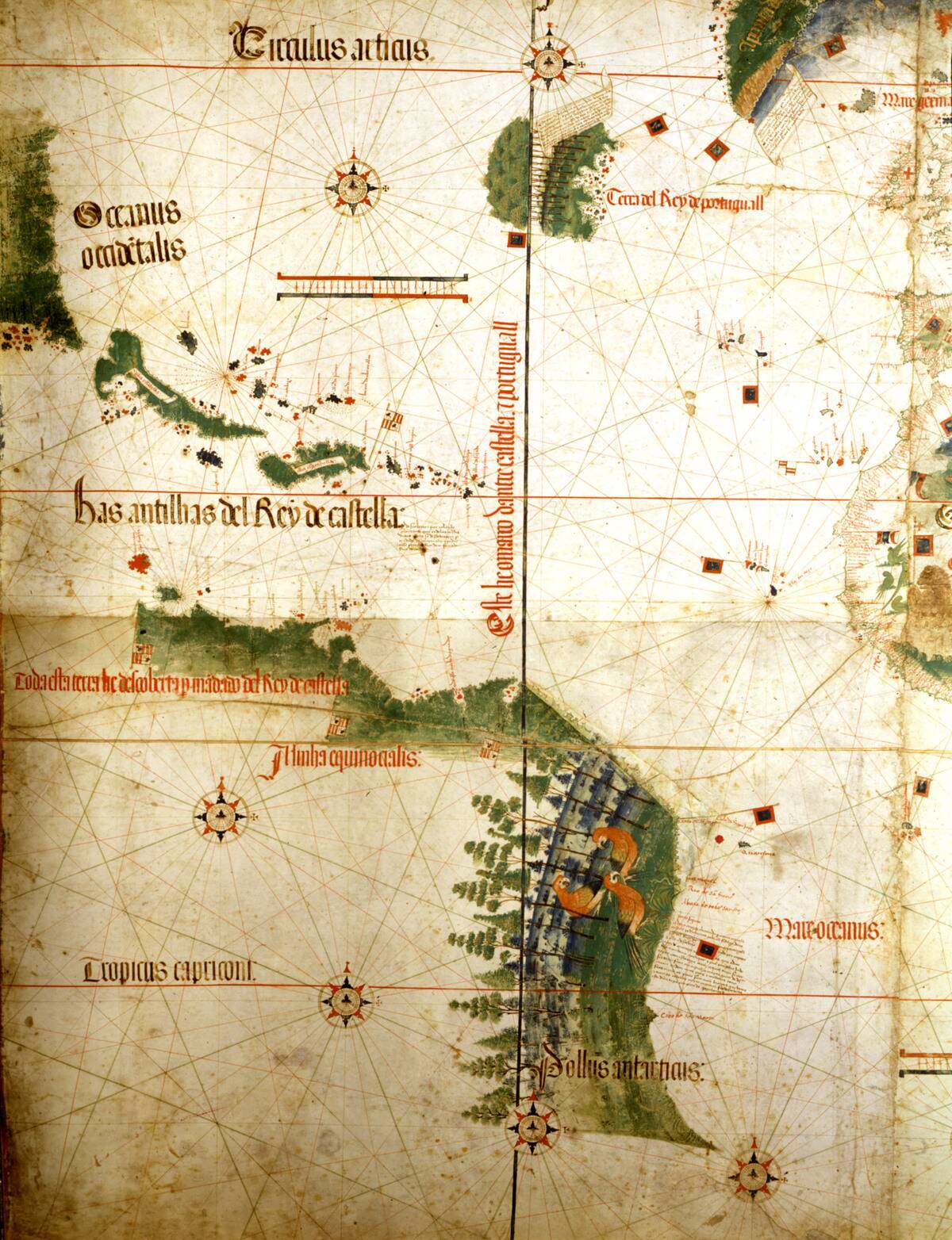 Portuguese map, known as Cantino map, indicating the limiting line between Spanish and Portuguese territories, set by the treaty of Tordesillas