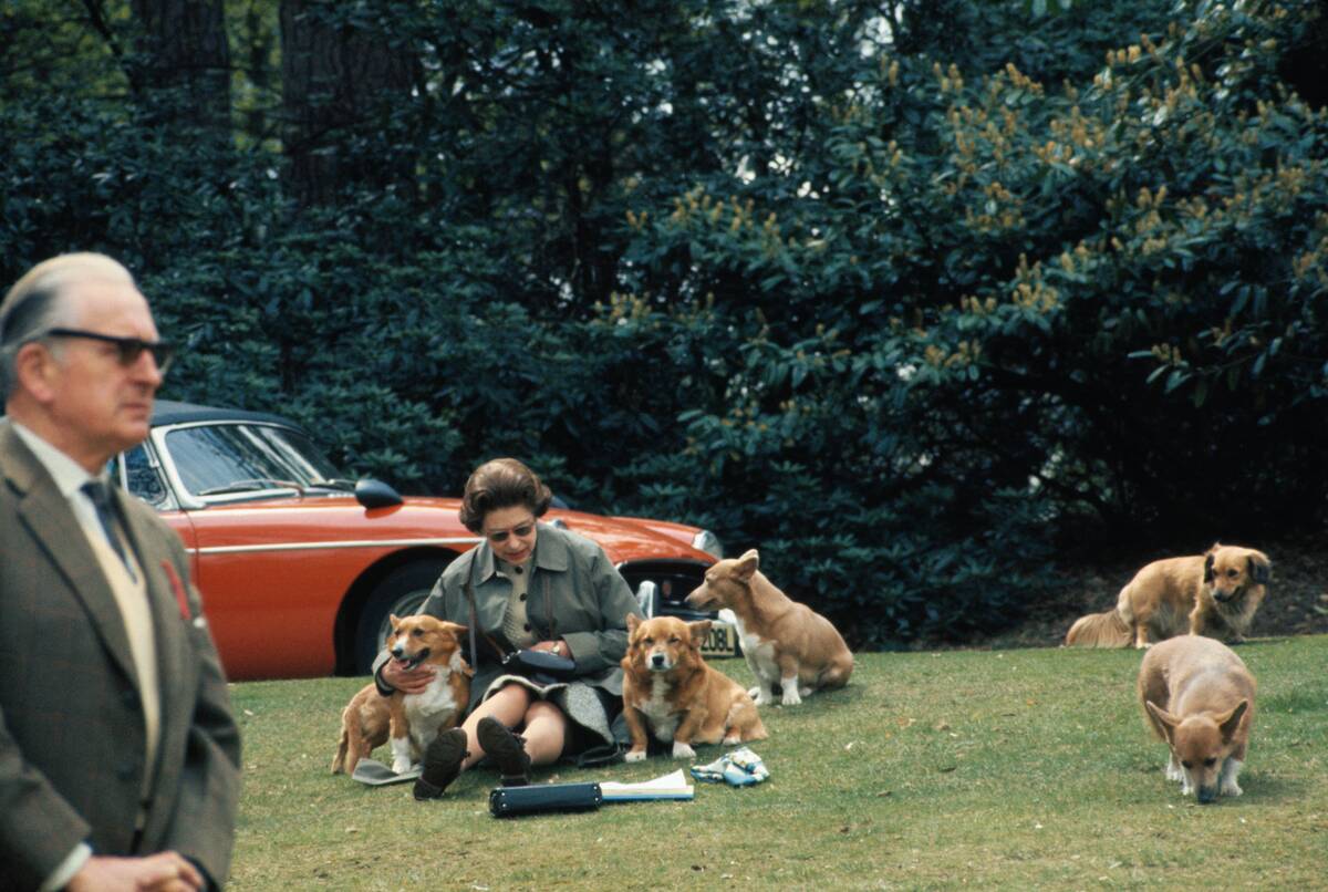 Queen Elizabeth II Sitting with Dogs