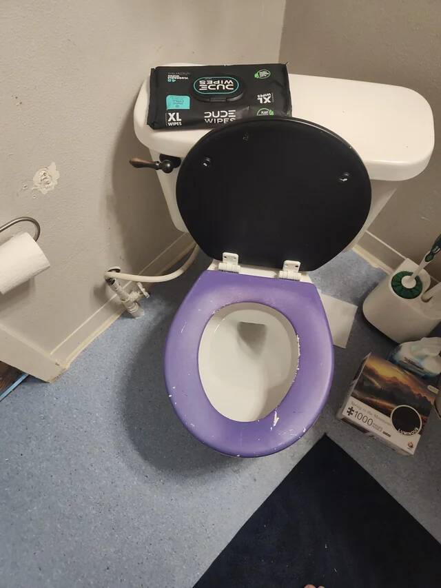 roommate-painted-the-toilet-seat-and-lid-i-dont-know-why-v0-8lg3hqmce1qf1