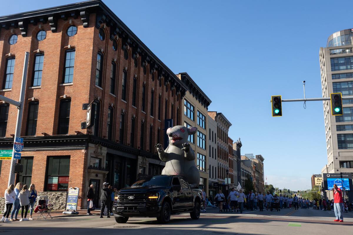 Scabby the Rat during the Labor Day Parade...