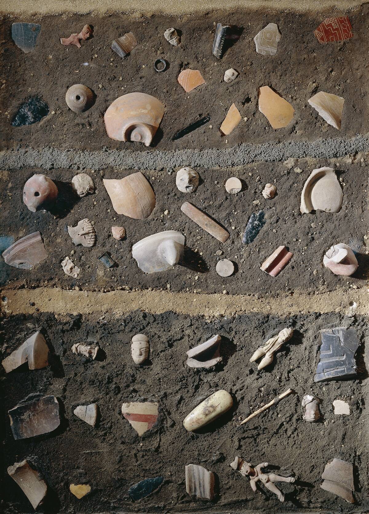 Stratigraphy of fossils found in Mexico City