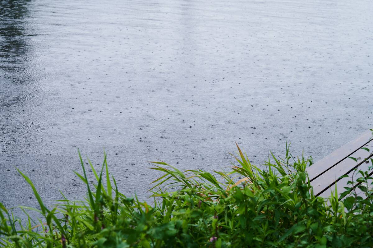 Summer rain in Berlin